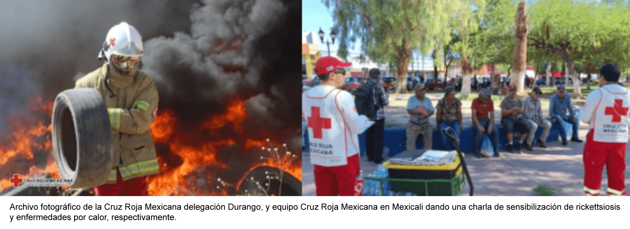 Calor extremo e incendios forestales: la importancia de aprender de ellos para reducir sus daños